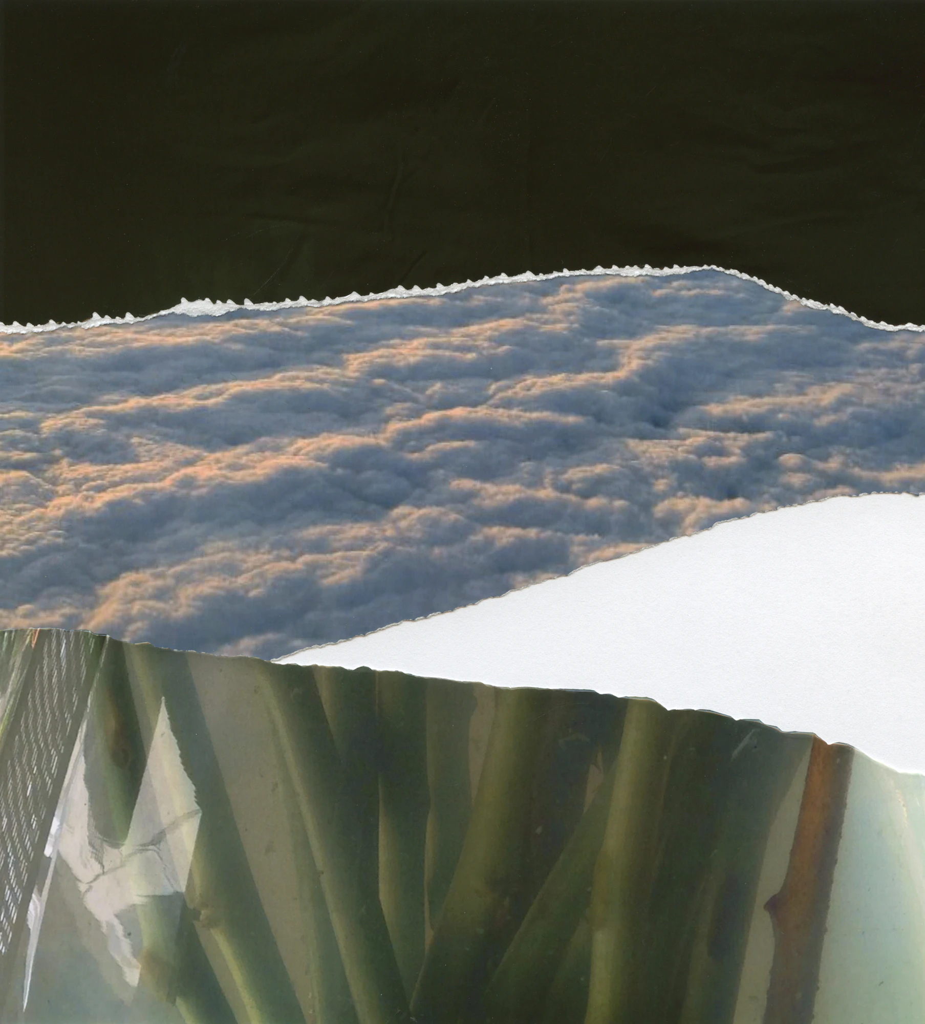 Other Landscapes by Viviana Martinez Carlos...