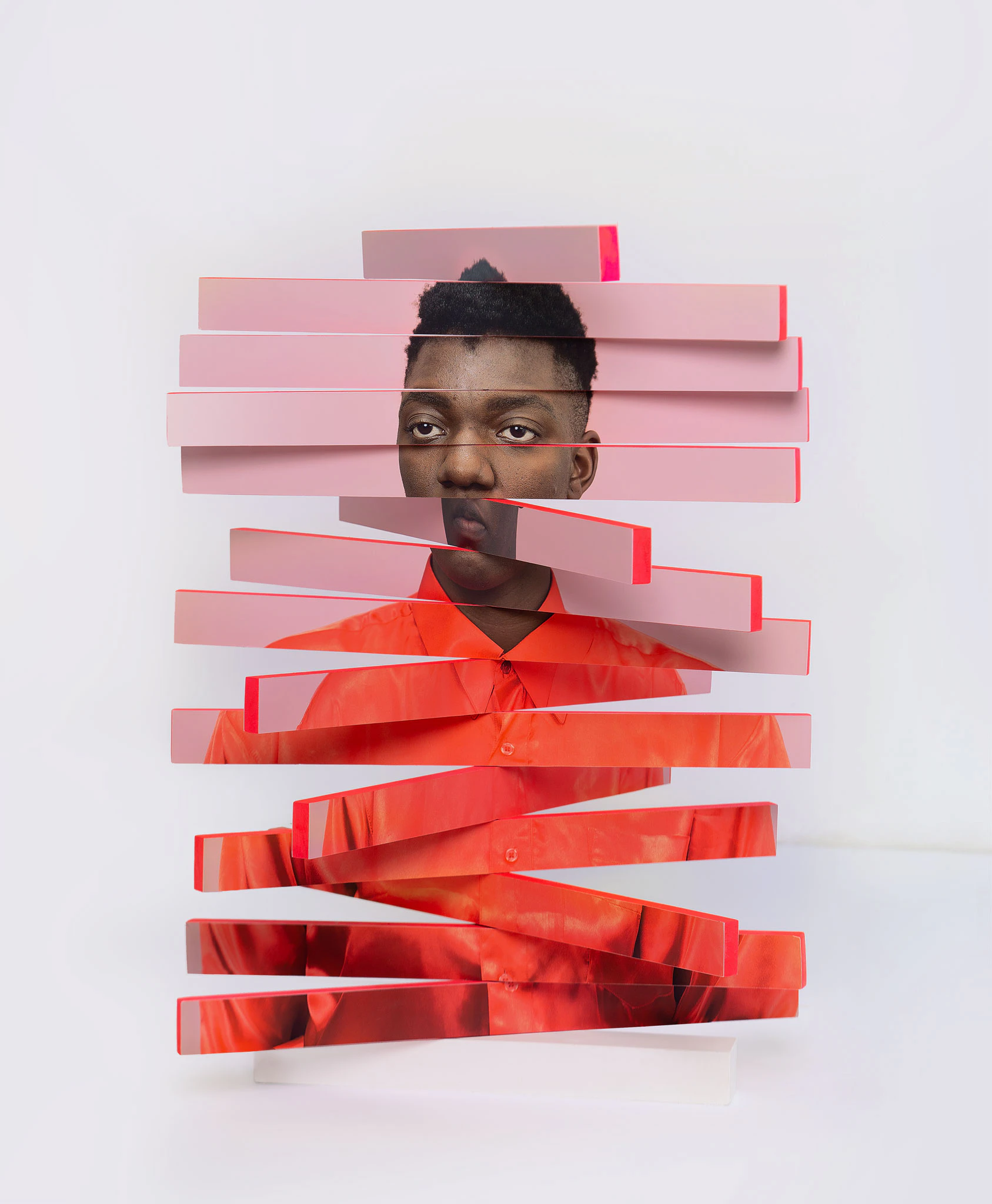 The Constructed Self by Karen Navarro...