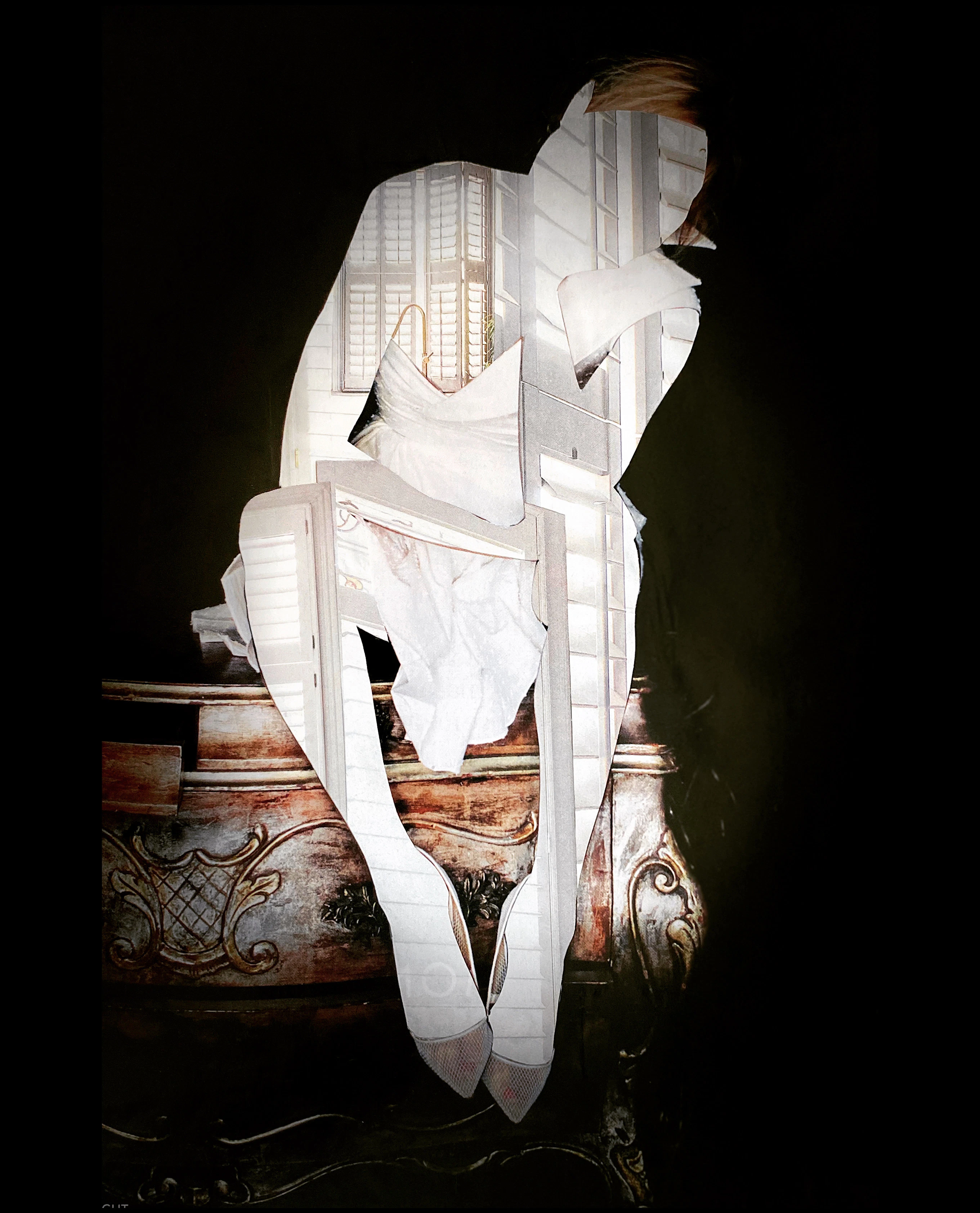 Quarantine Collage Series by Lisa Fielding-Smith...