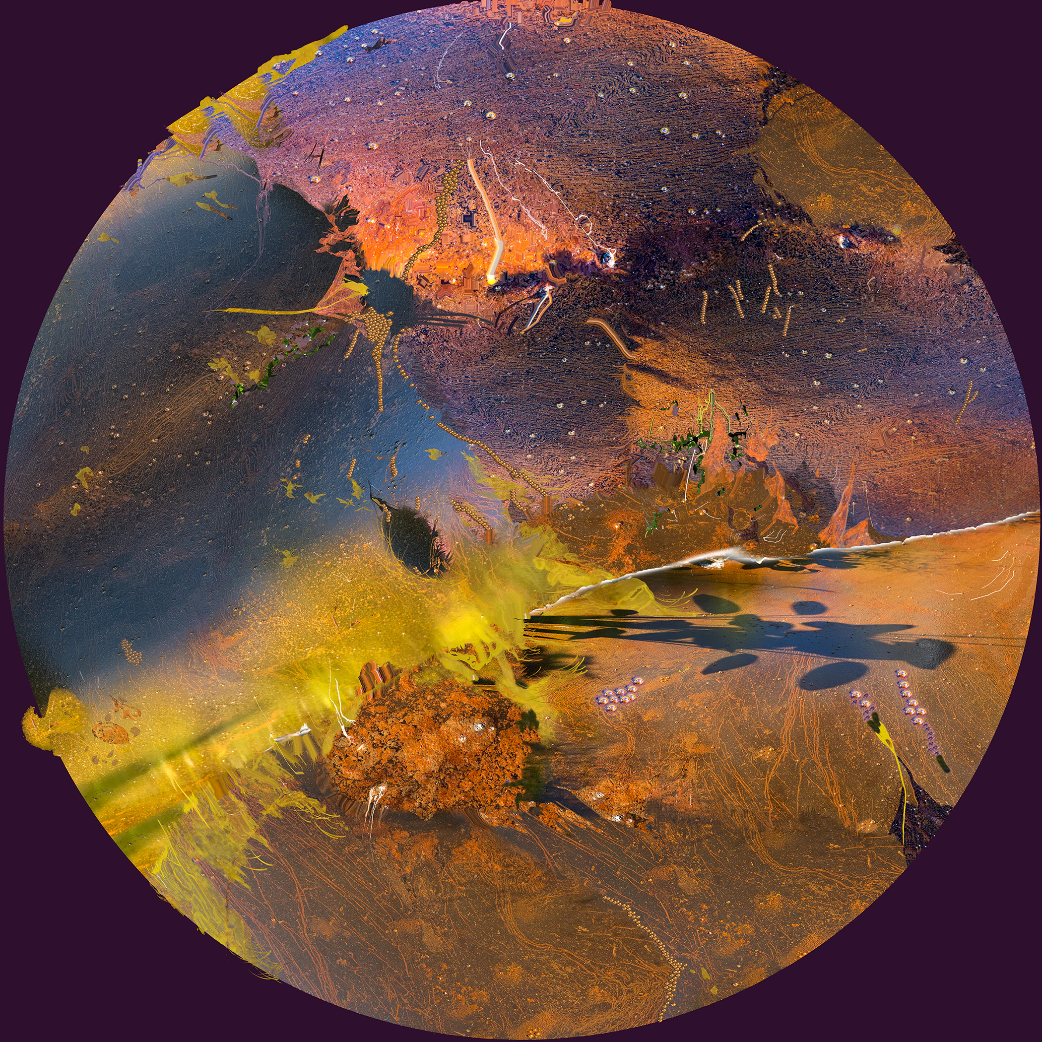 Environmental Cognition, Cognitive Environment, and Coruscate by Lizz Stringfield...