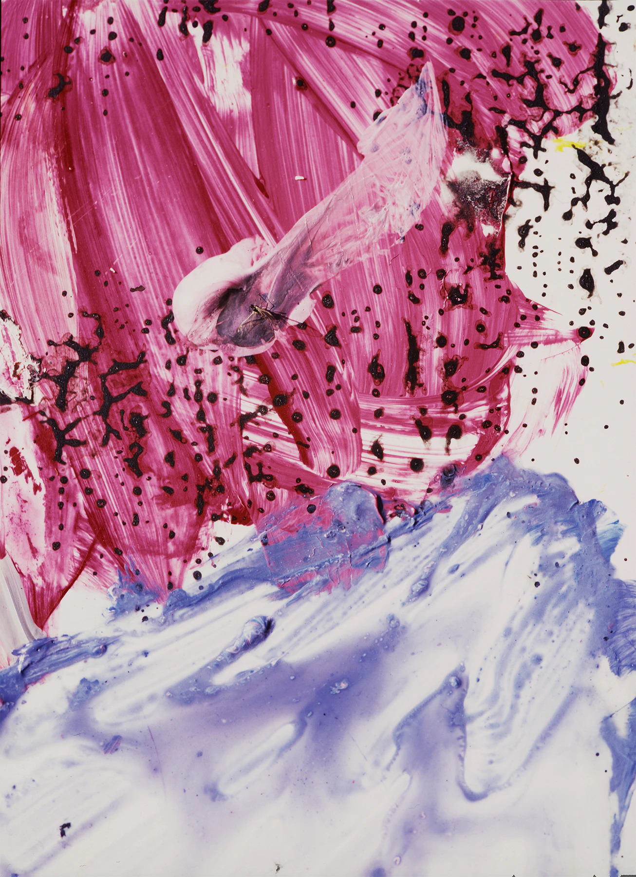 Sweet Microverse by Sophie le Roux...