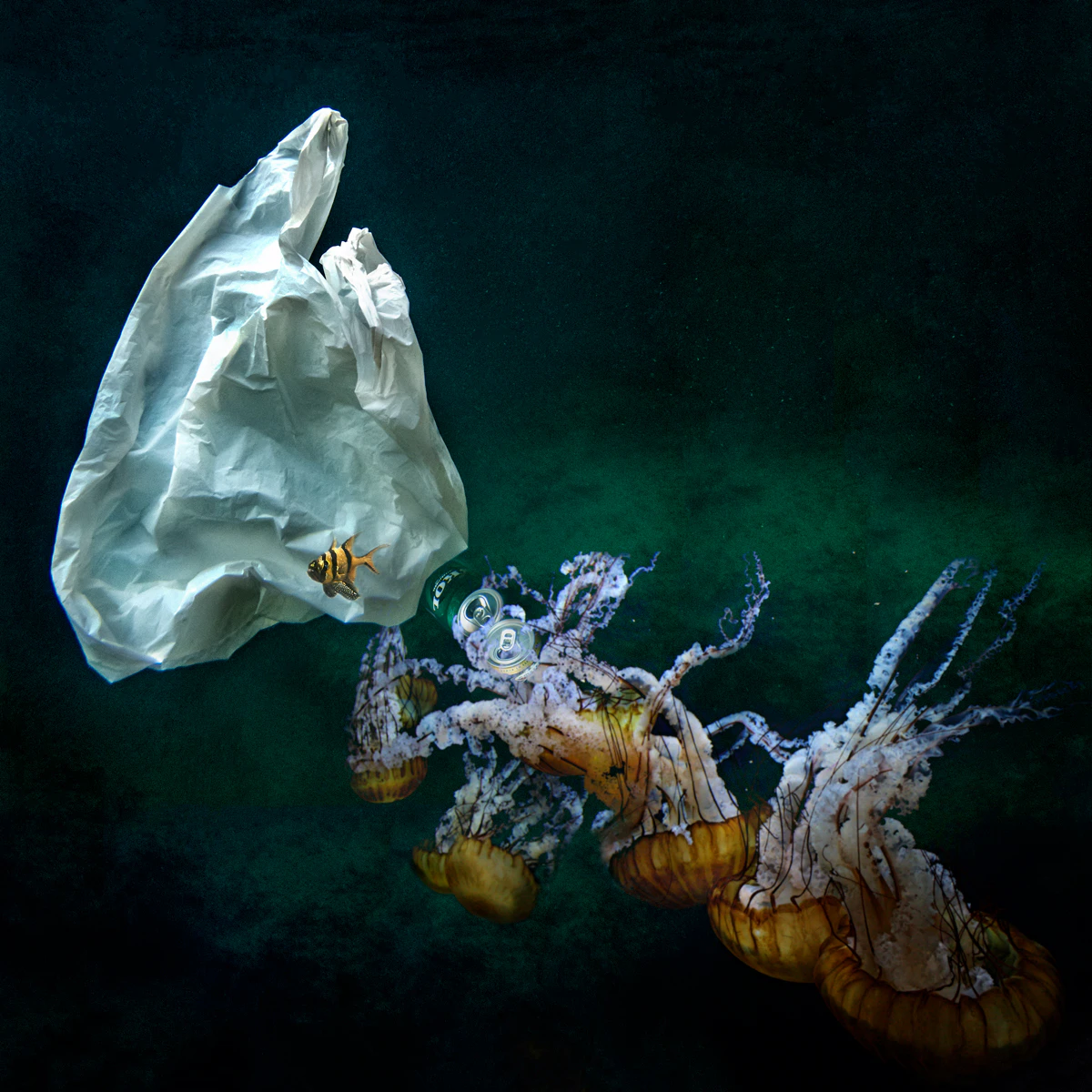 HUMAN WASTE I by Beatriz GlezSa...