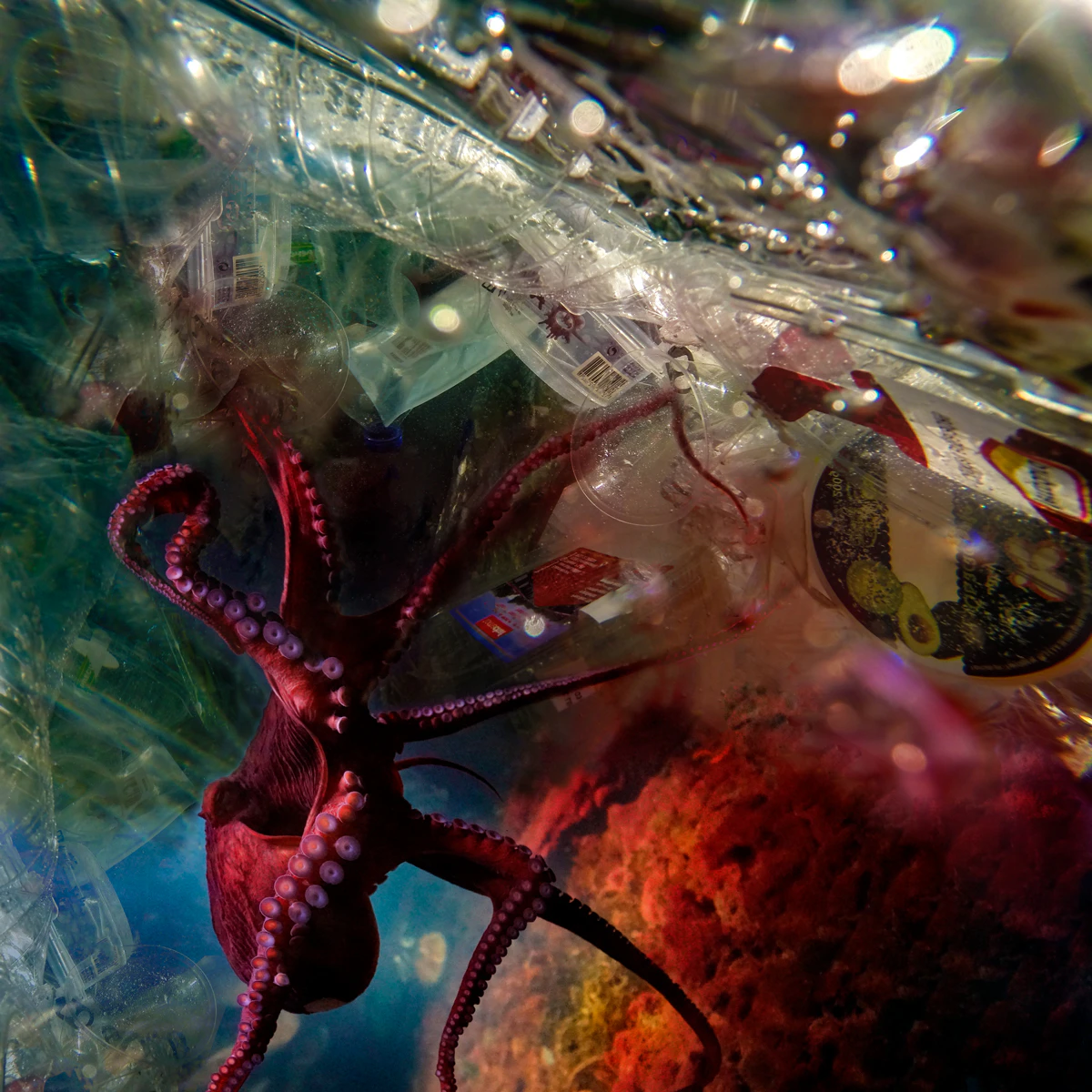 HUMAN WASTE I by Beatriz GlezSa...
