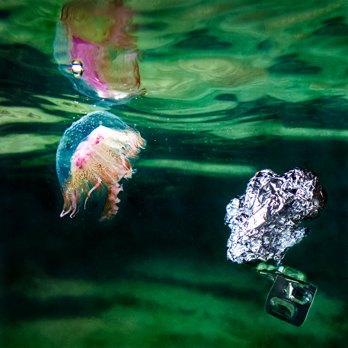 HUMAN WASTE I by Beatriz GlezSa...