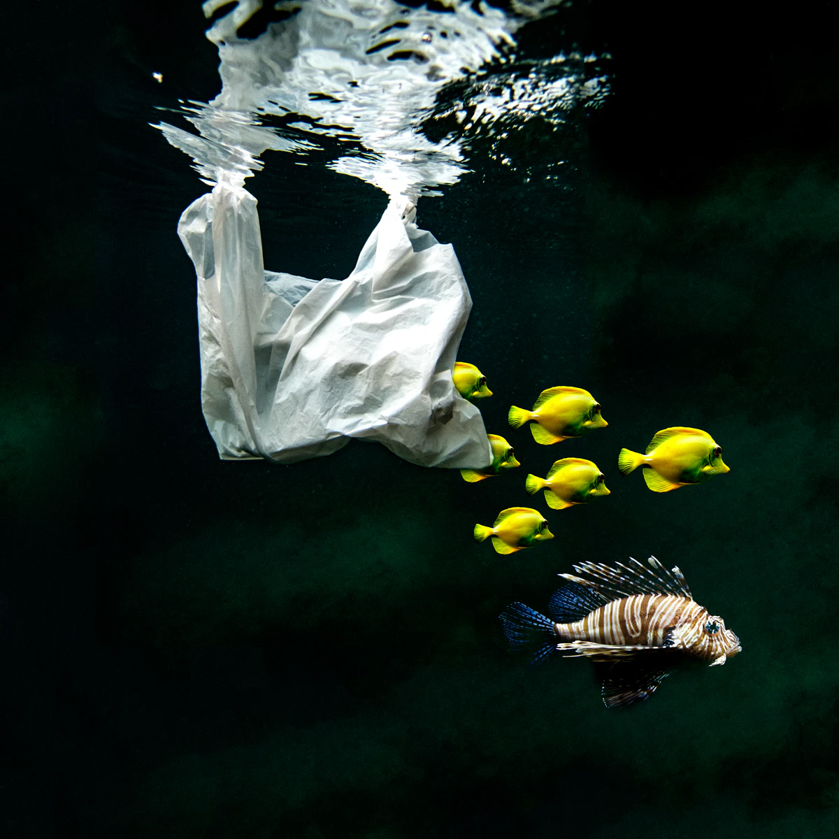 HUMAN WASTE I by Beatriz GlezSa...