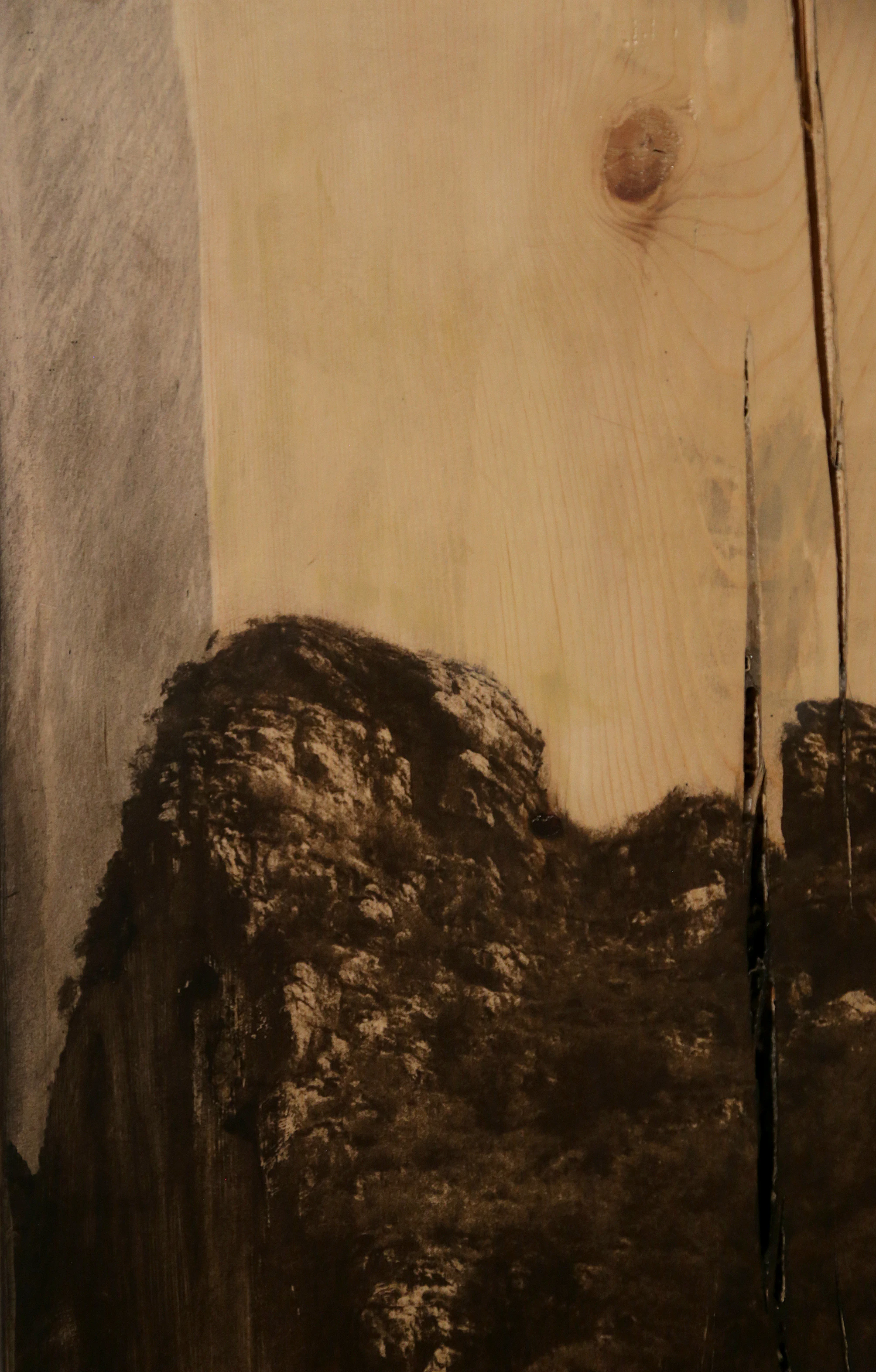 Standing Trees, Weeds, Streams and Uplifted Rocks by Bicheng Liang...