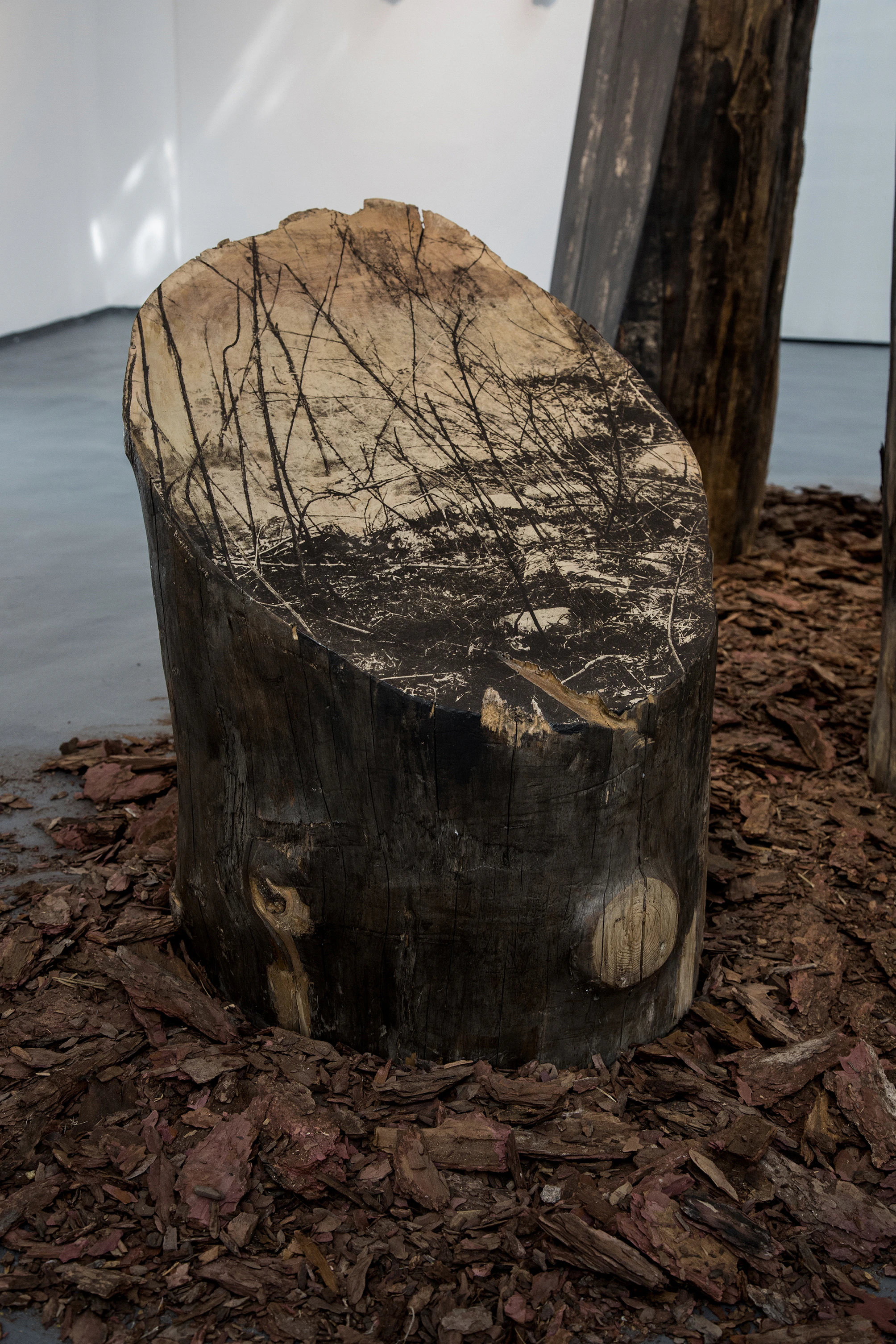 Standing Trees, Weeds, Streams and Uplifted Rocks by Bicheng Liang...
