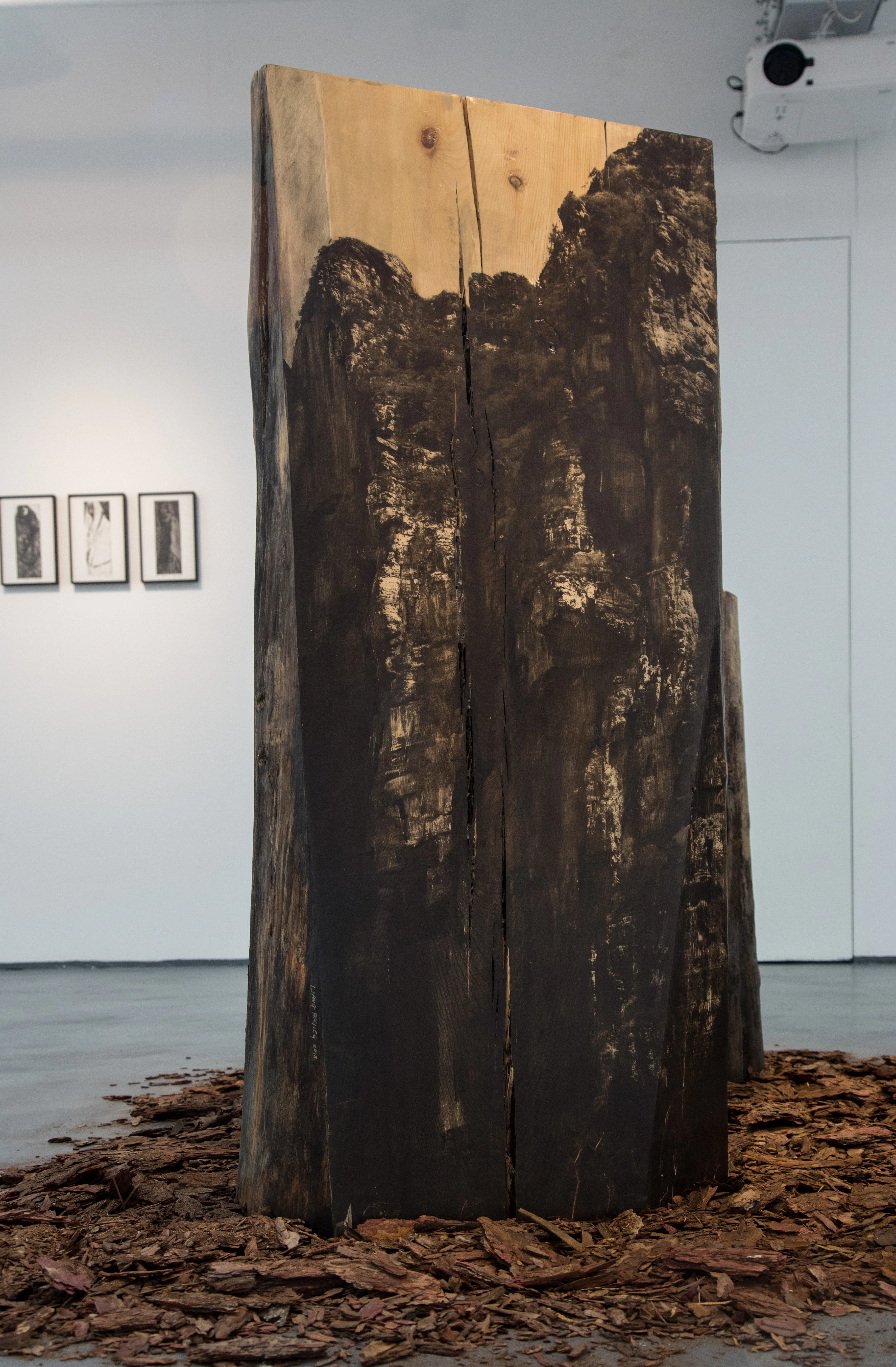 Standing Trees, Weeds, Streams and Uplifted Rocks by Bicheng Liang...