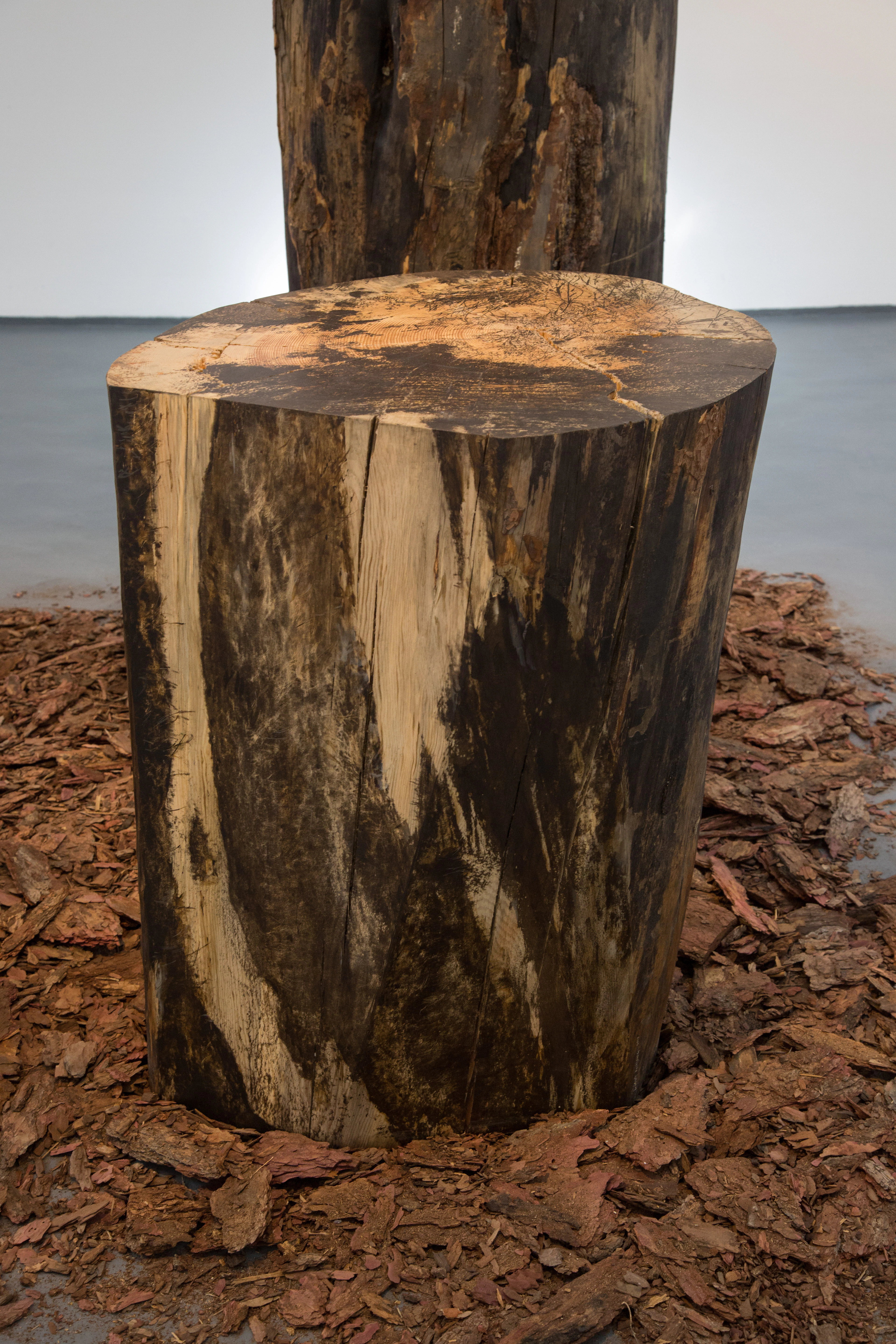 Standing Trees, Weeds, Streams and Uplifted Rocks by Bicheng Liang...