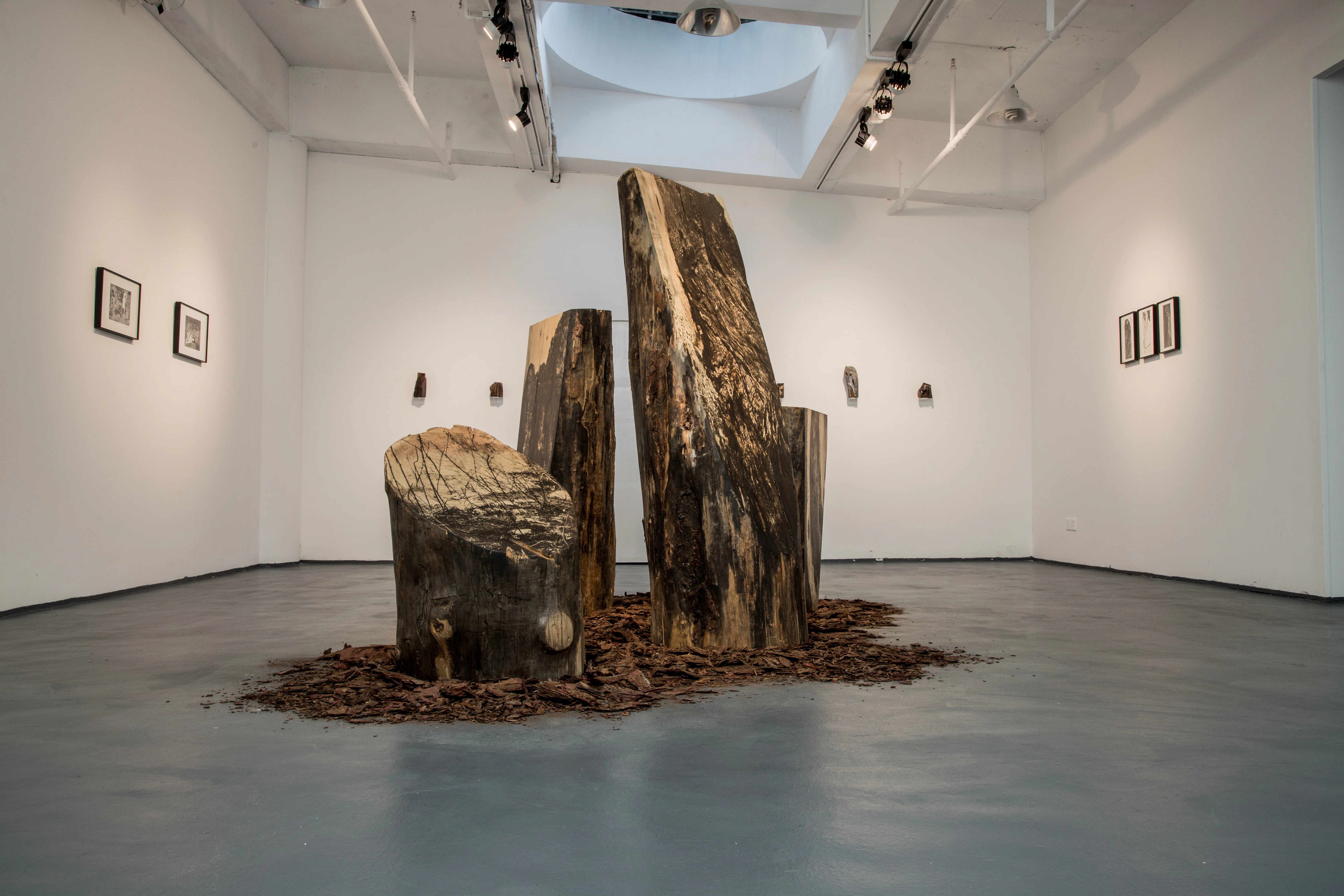 Standing Trees, Weeds, Streams and Uplifted Rocks by Bicheng Liang...
