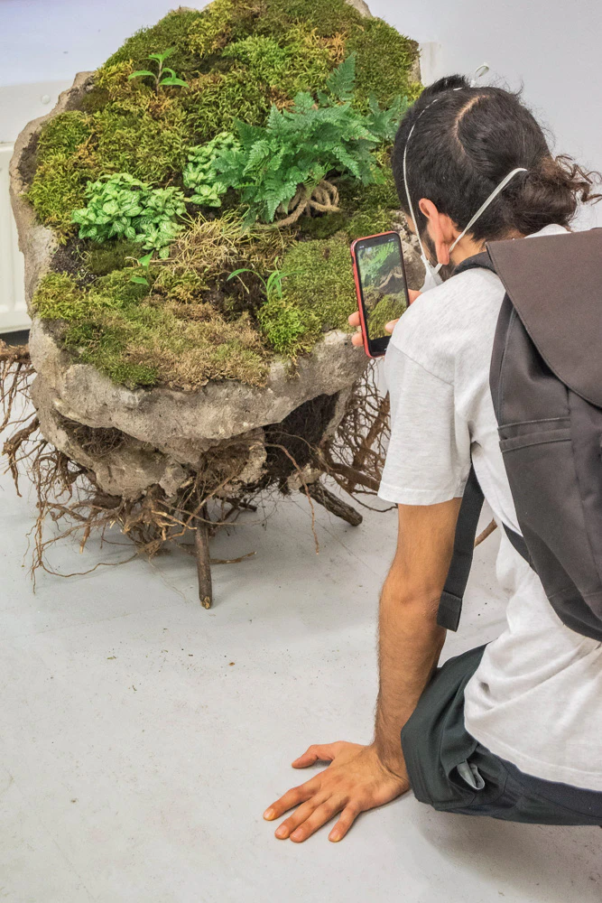 Fresh!...essays on Nature by Galerie Kuchling...