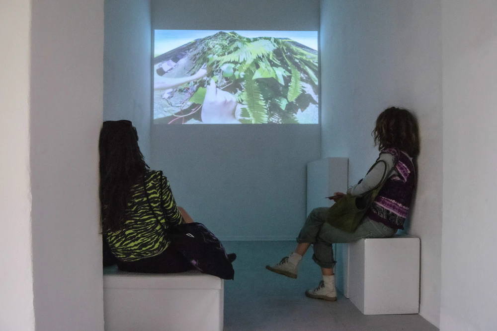 Fresh!...essays on Nature by Galerie Kuchling...