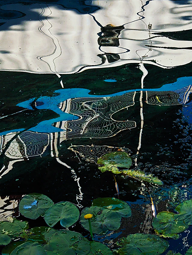 On the surface by Tania Bohuslavska...