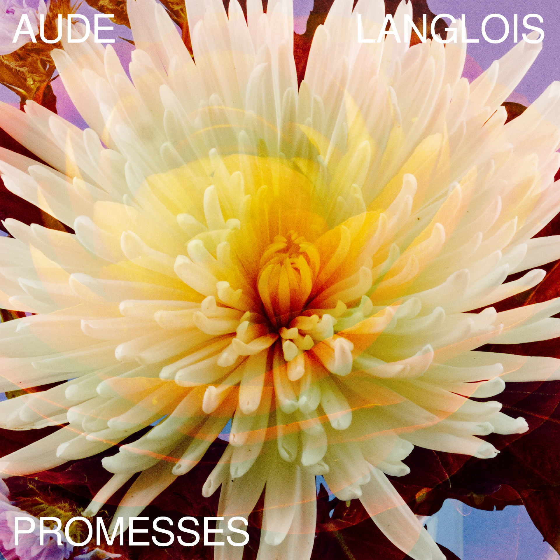 Promesses by Carlos Vin Lopes...