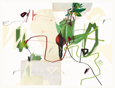 Garden Without Horizon