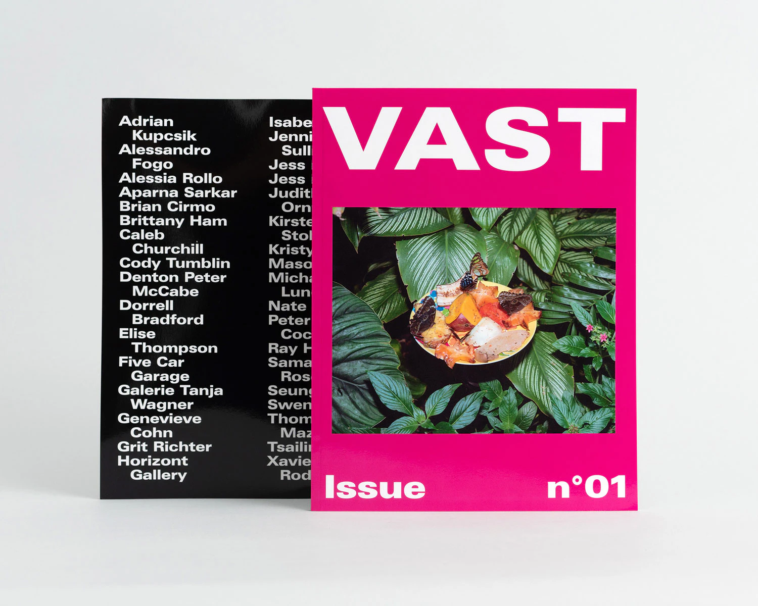 VAST Issue n°01