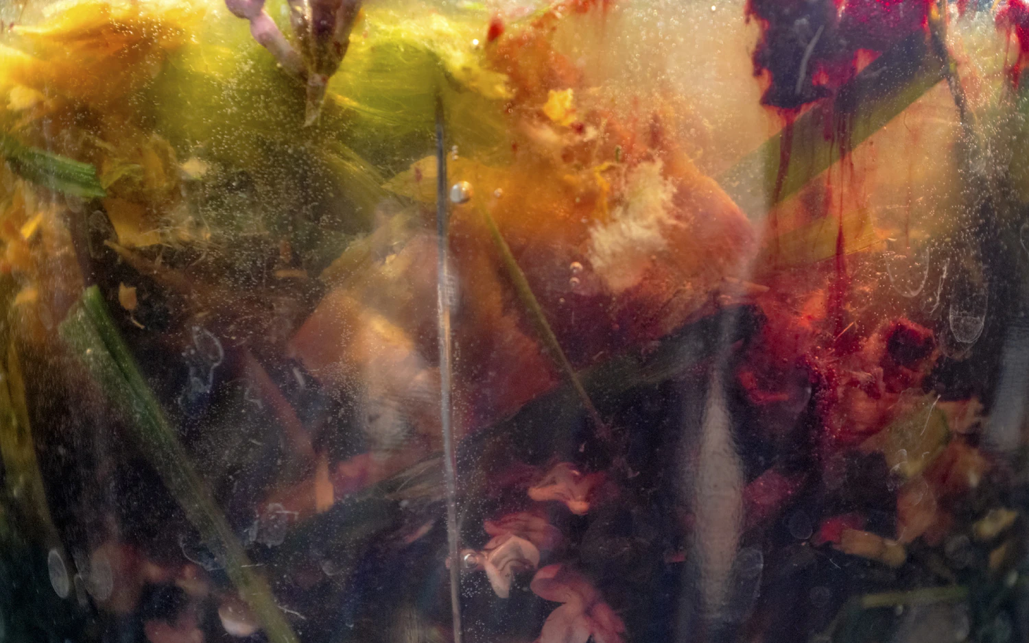 Holisis by Wanda von Bremen...