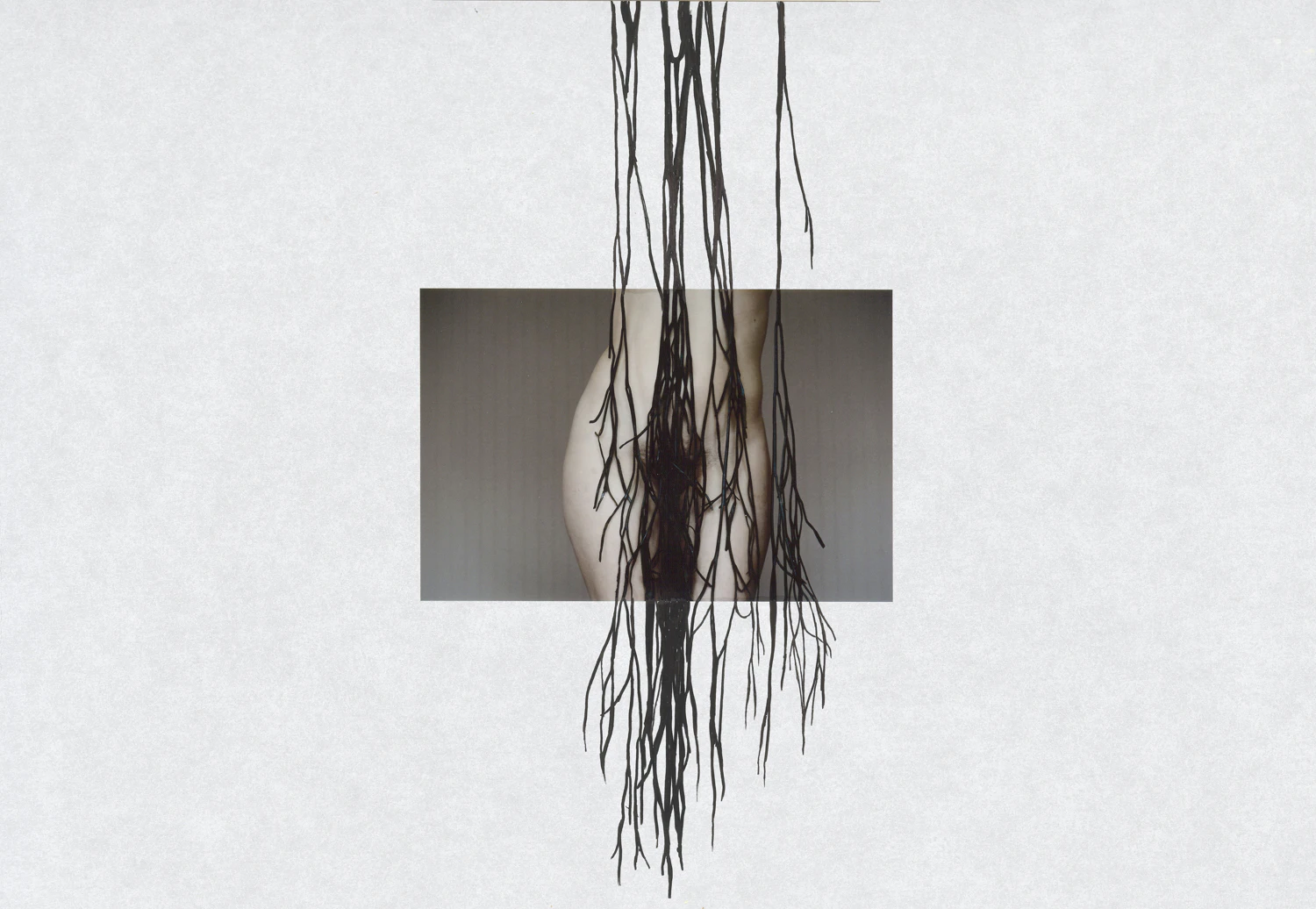 Holisis by Wanda von Bremen...