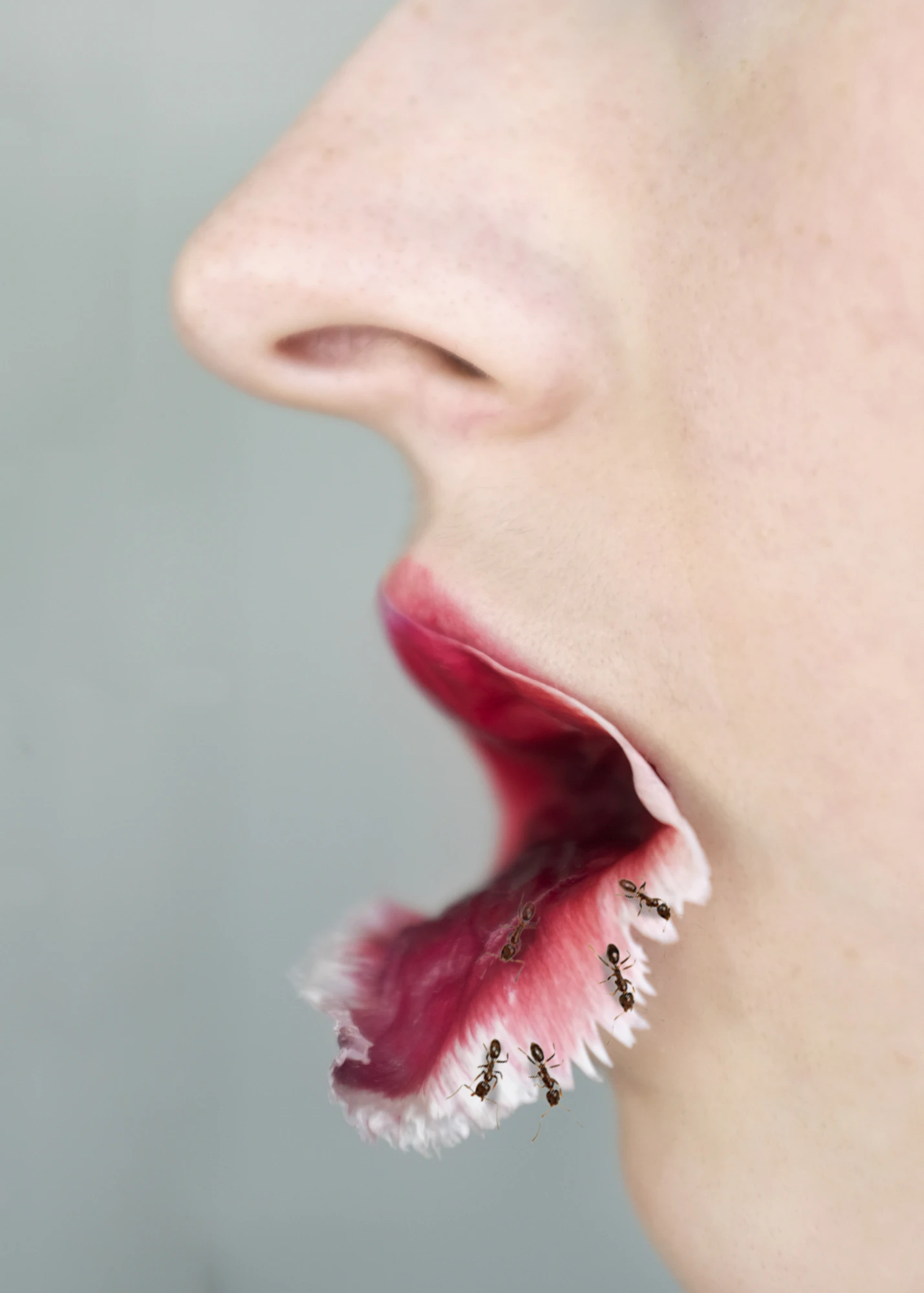 Holisis by Wanda von Bremen...