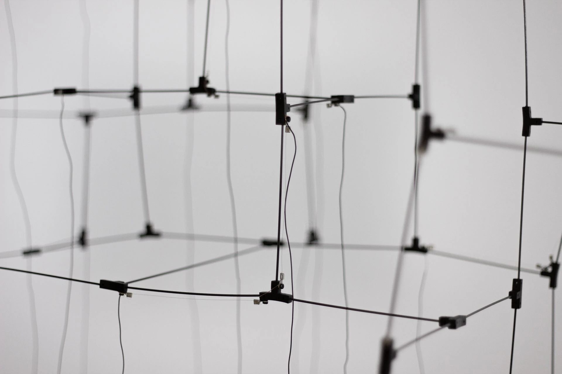 Mutiertes L-System by Lotta Stöver...