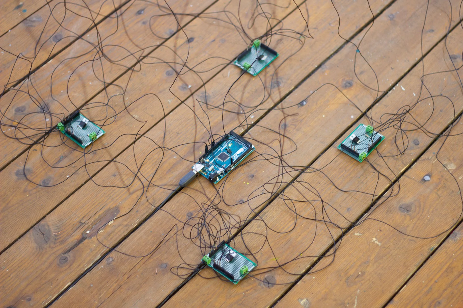 Mutiertes L-System by Lotta Stöver...