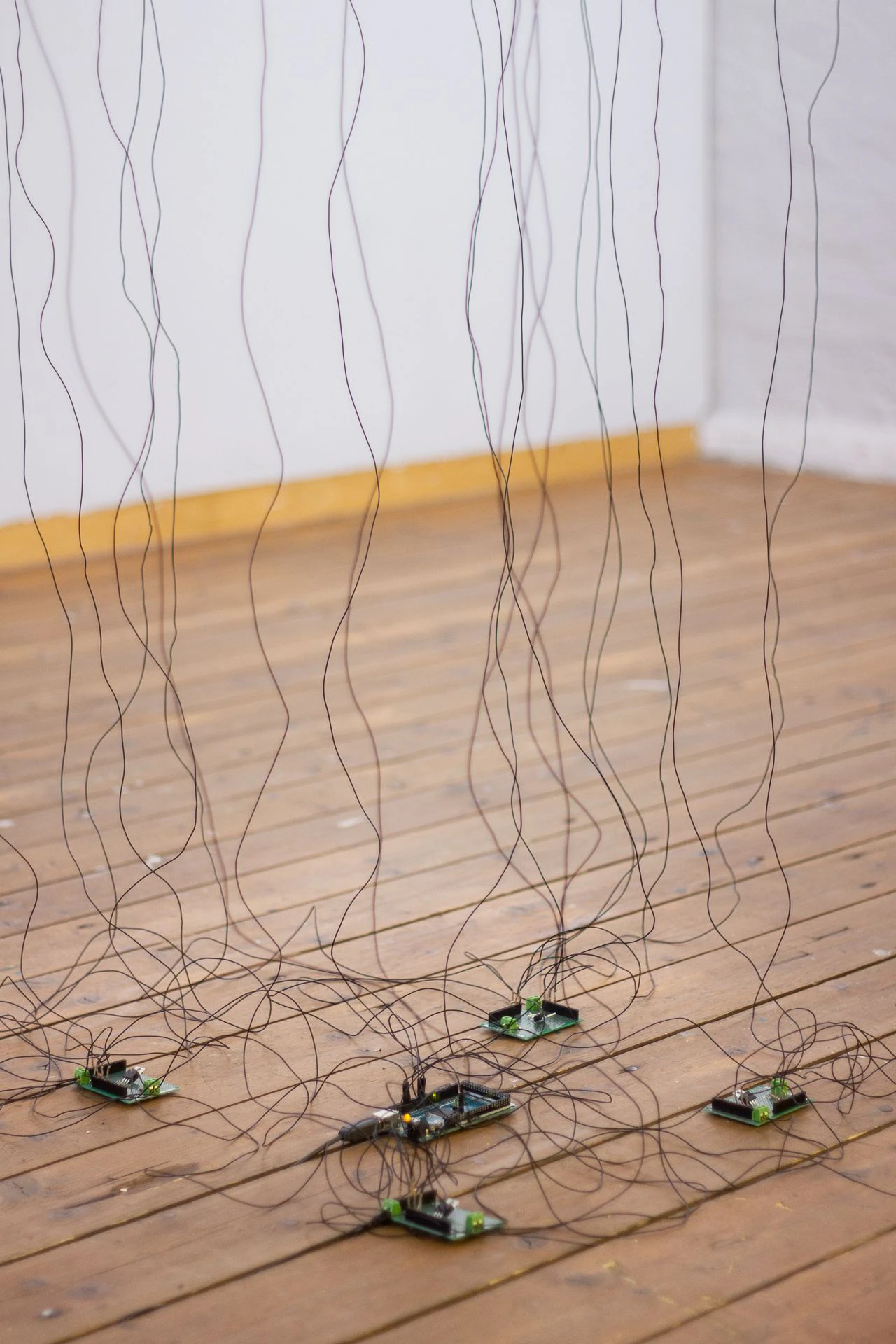 Mutiertes L-System by Lotta Stöver...