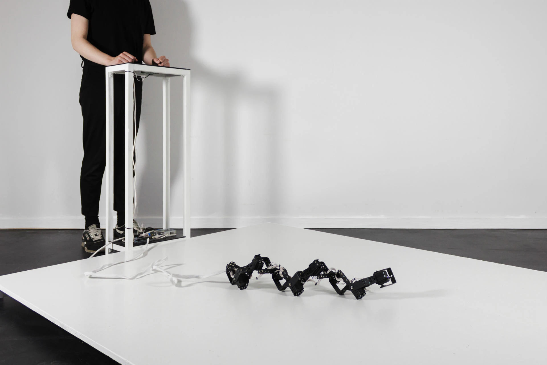 1000 Behaviors by Lotta Stöver...