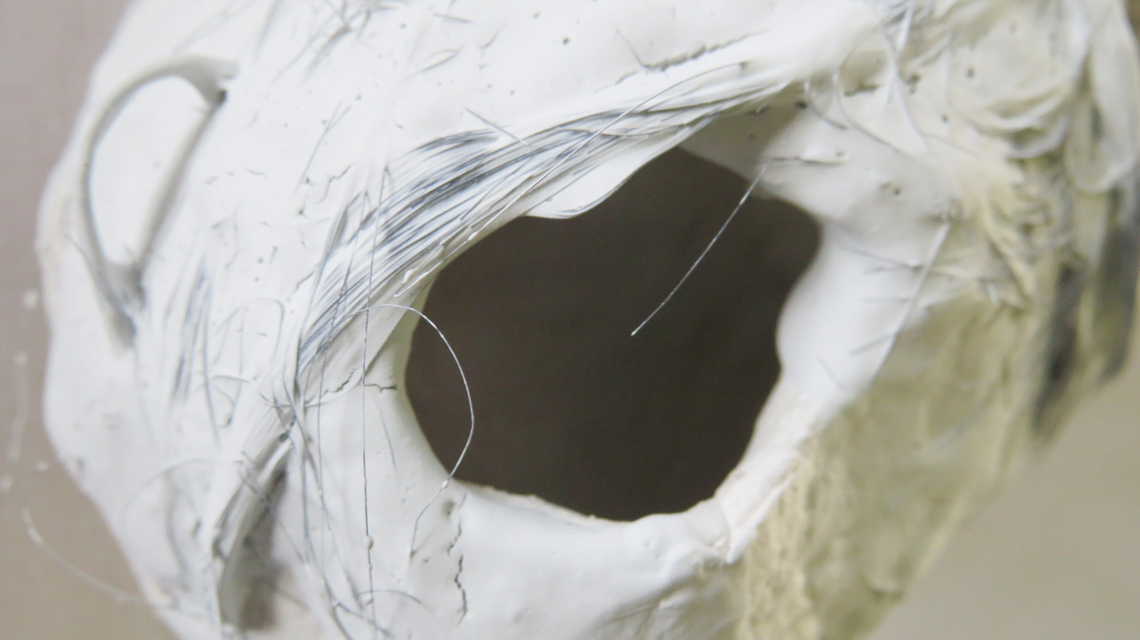 VESSELS OF THE FLESH APPROPRIATING THE BODY OF CHRIST by Isabella Harper...
