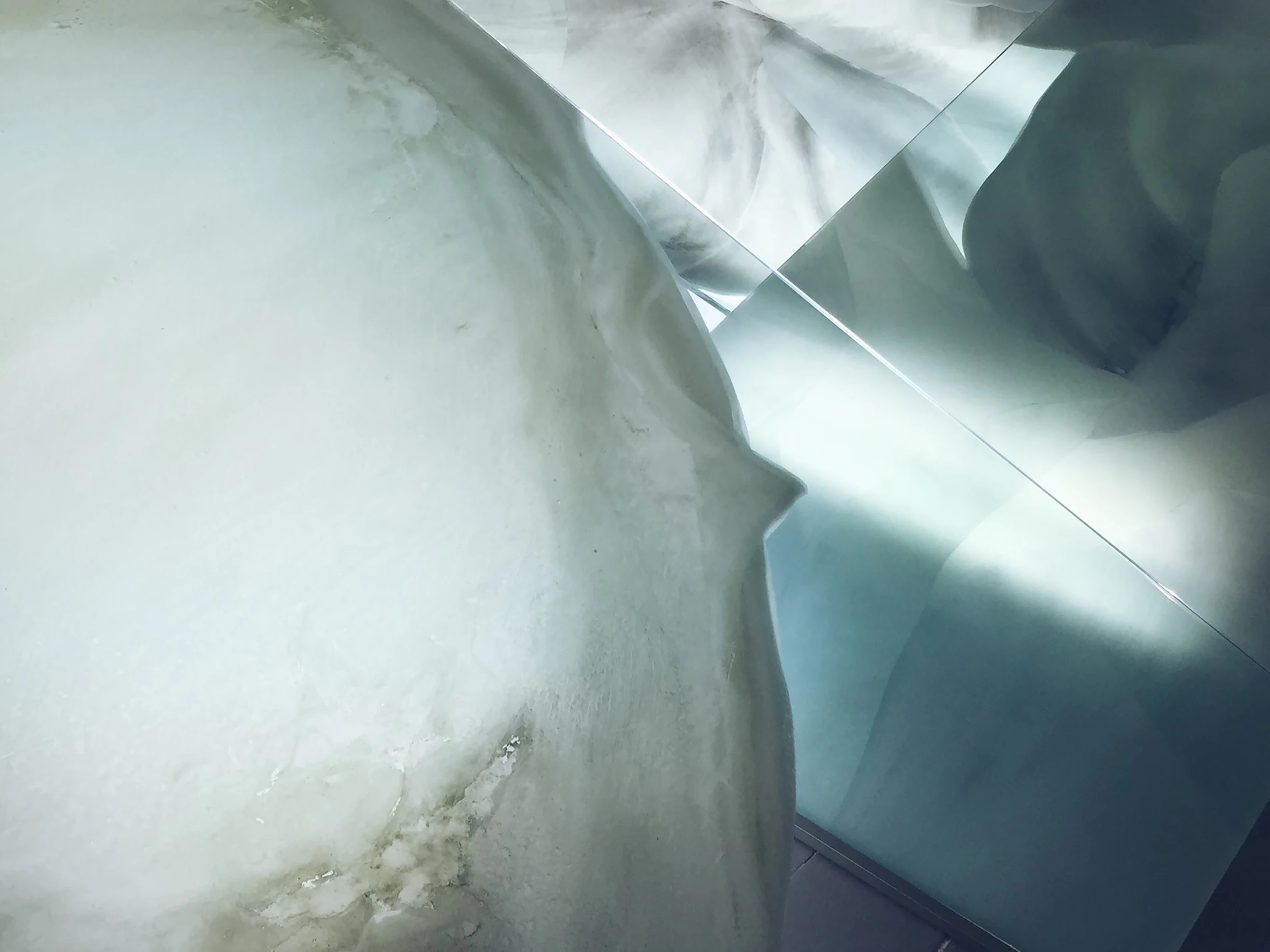 Exposing Living Things by lisa götze...