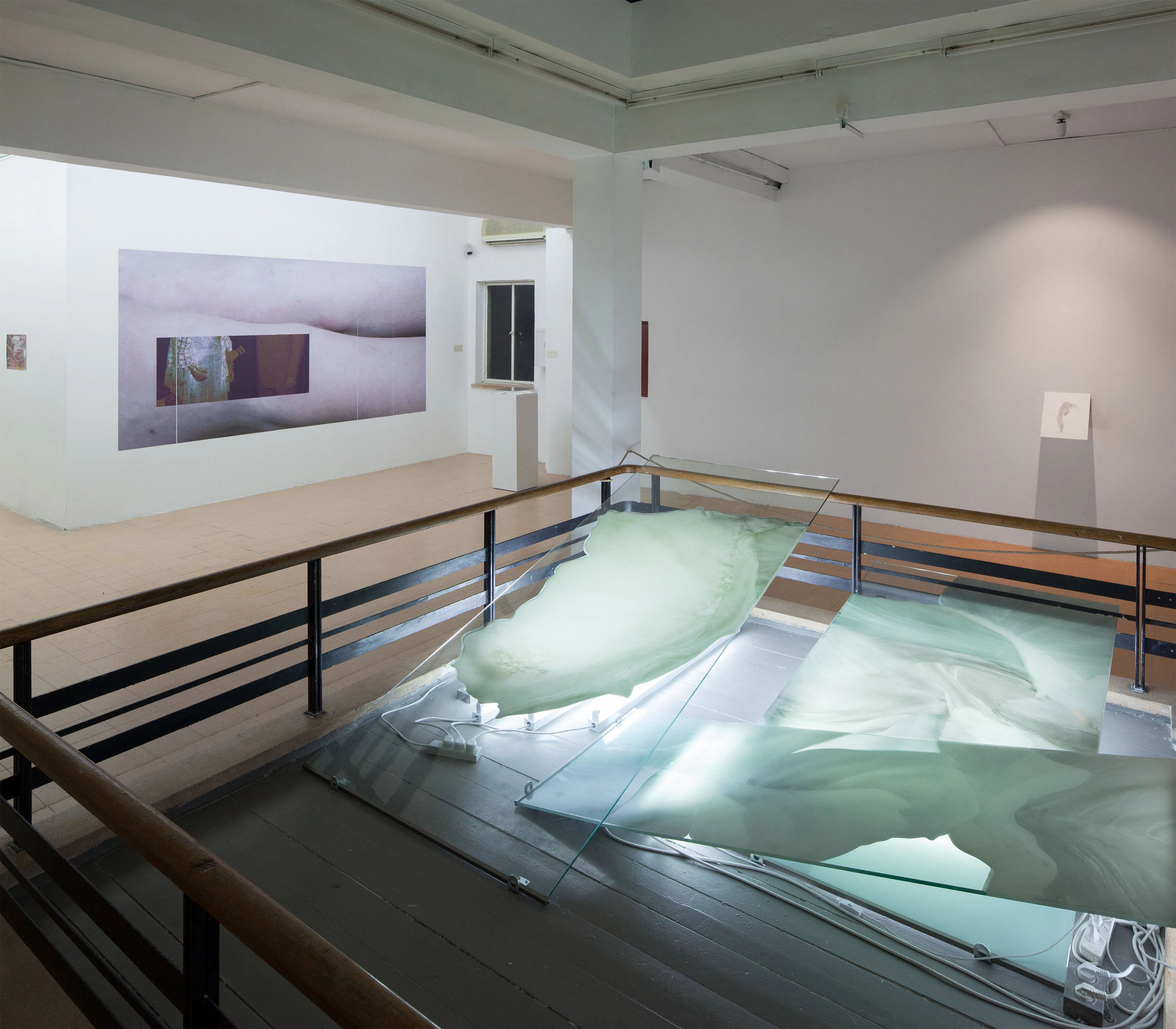 Exposing Living Things by lisa götze...