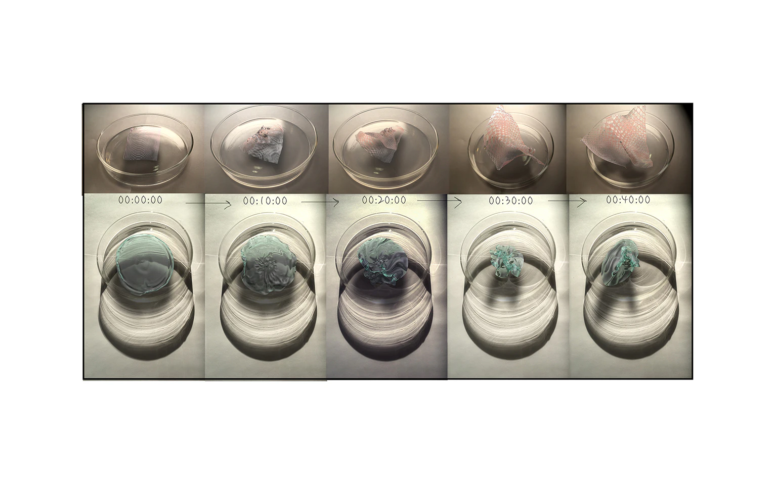 Decomposition of Materiality by Scarlett Yang...