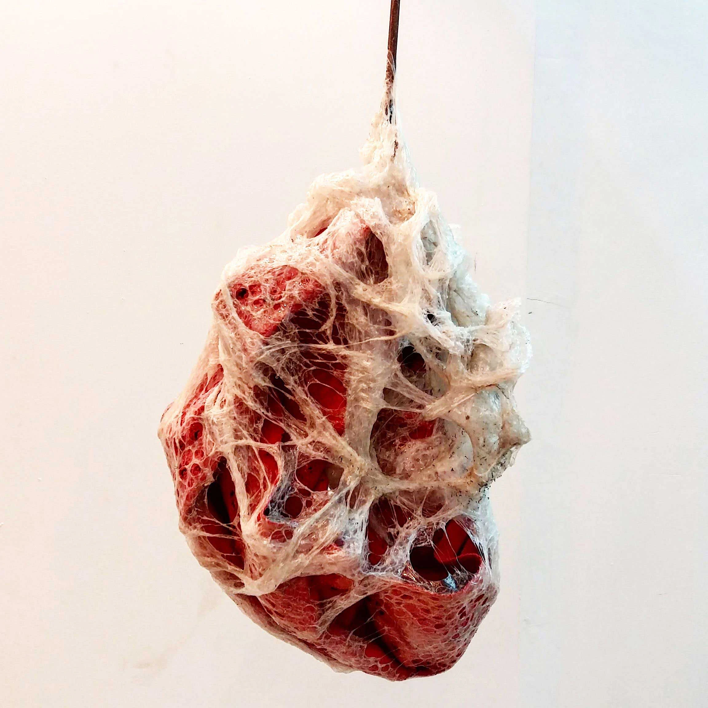 The Dancer and the Butcher by Abie Franklin...