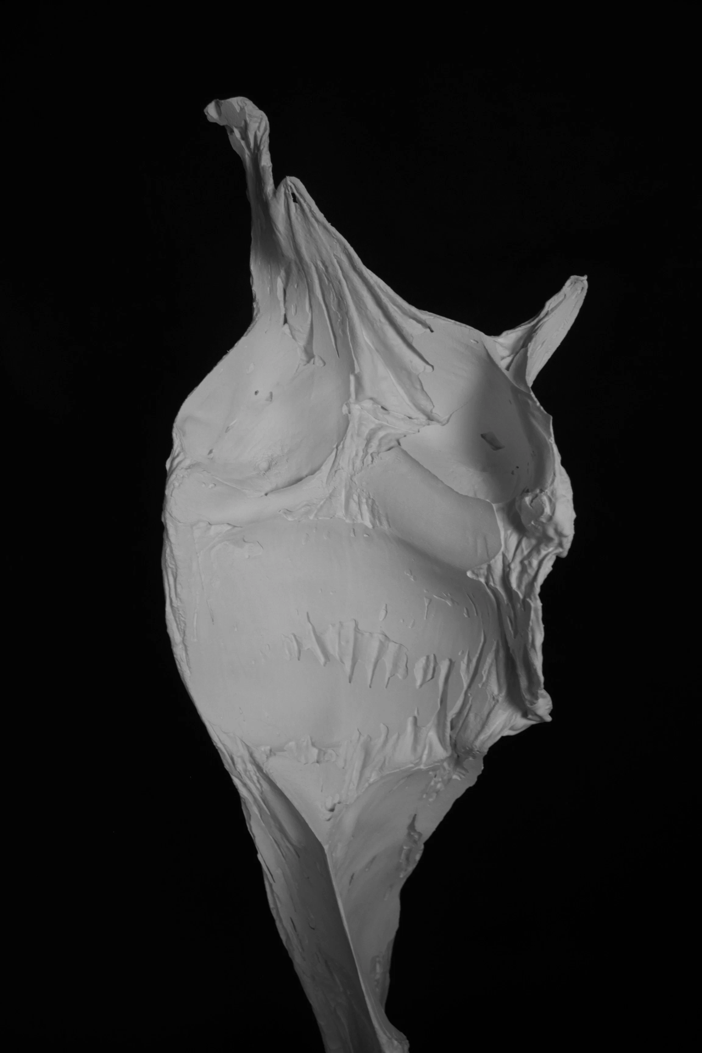 The Garment of Grace by Adriana São Bento...