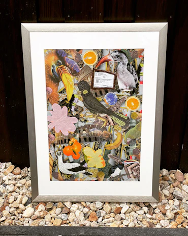 Birds & Orange 