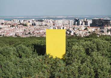 Landscape Series
