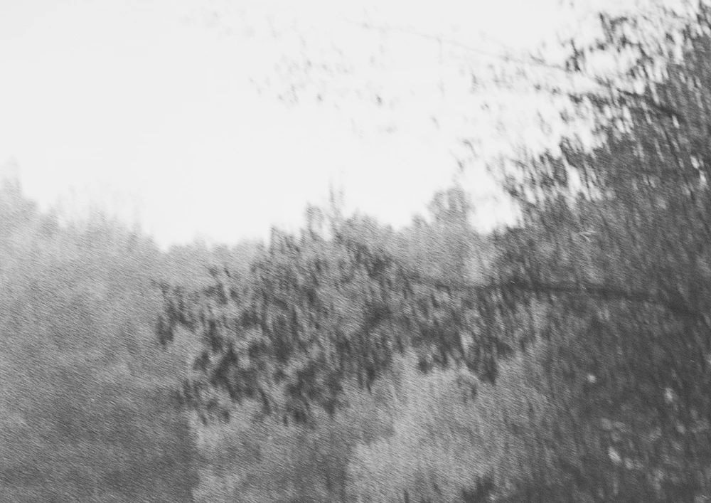 LAND by Aurélie Sorriaux...