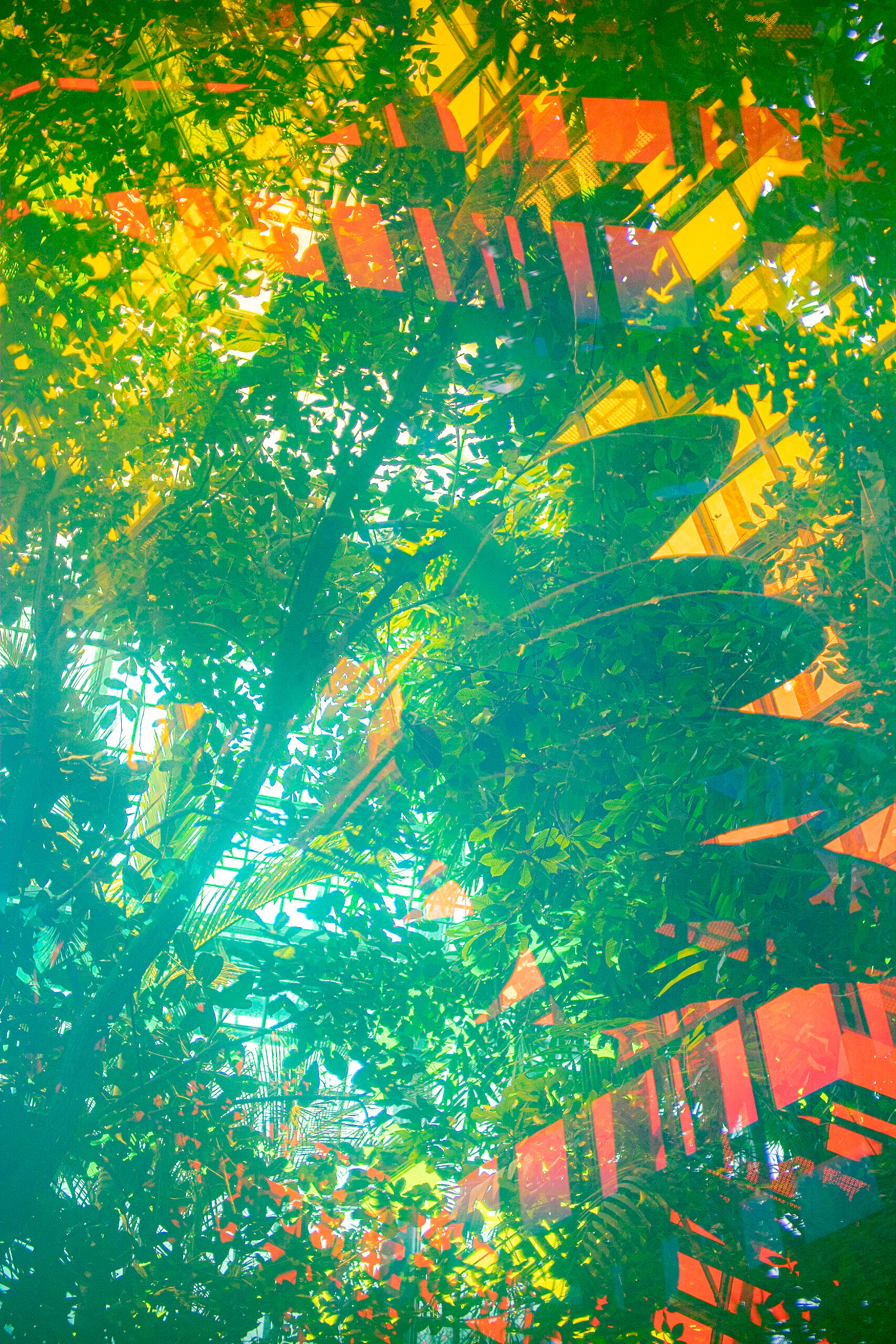 Adobe Creative Residency Community Fund Comission by Maria Louceiro...