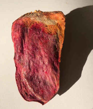 Flesh of My Flesh, 2020