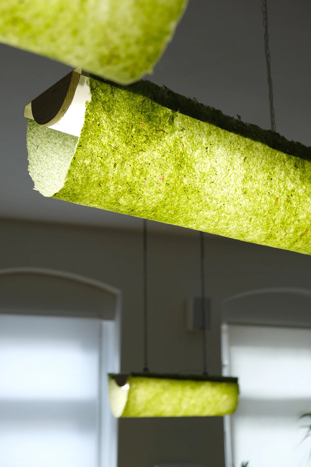 Algae Lamps