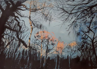 Winter sun in Crackley Woods