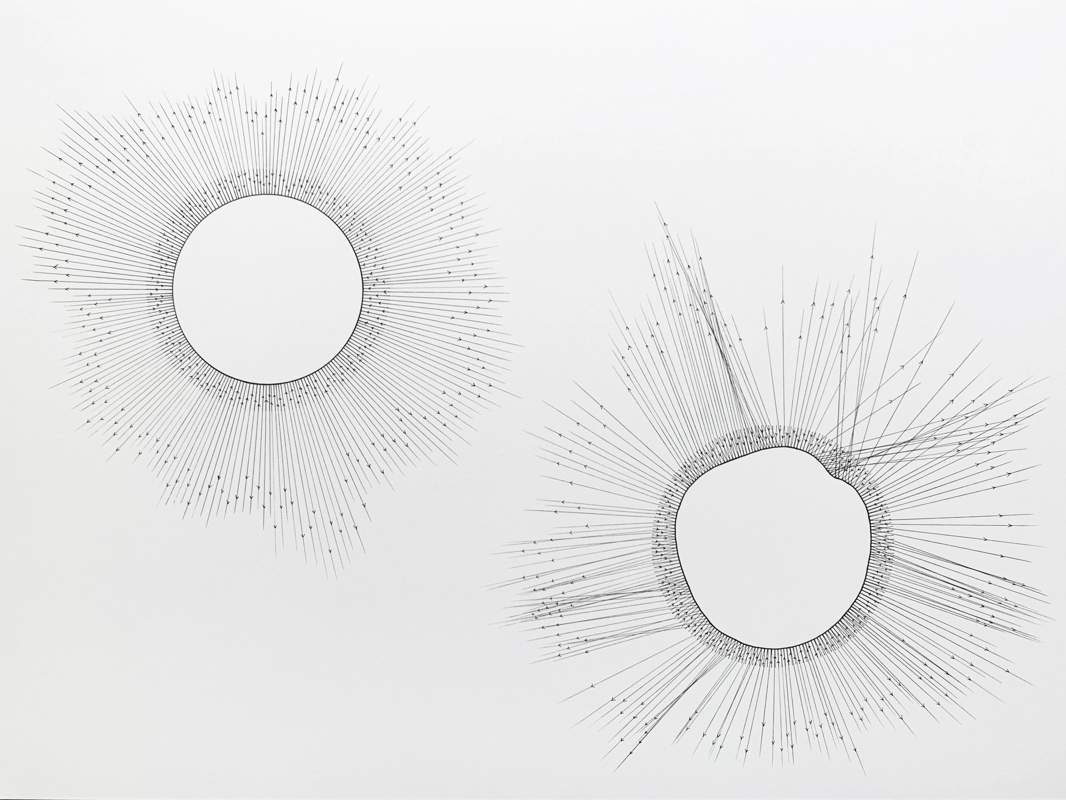Sounding Landshapes by Elizabeth McTernan...