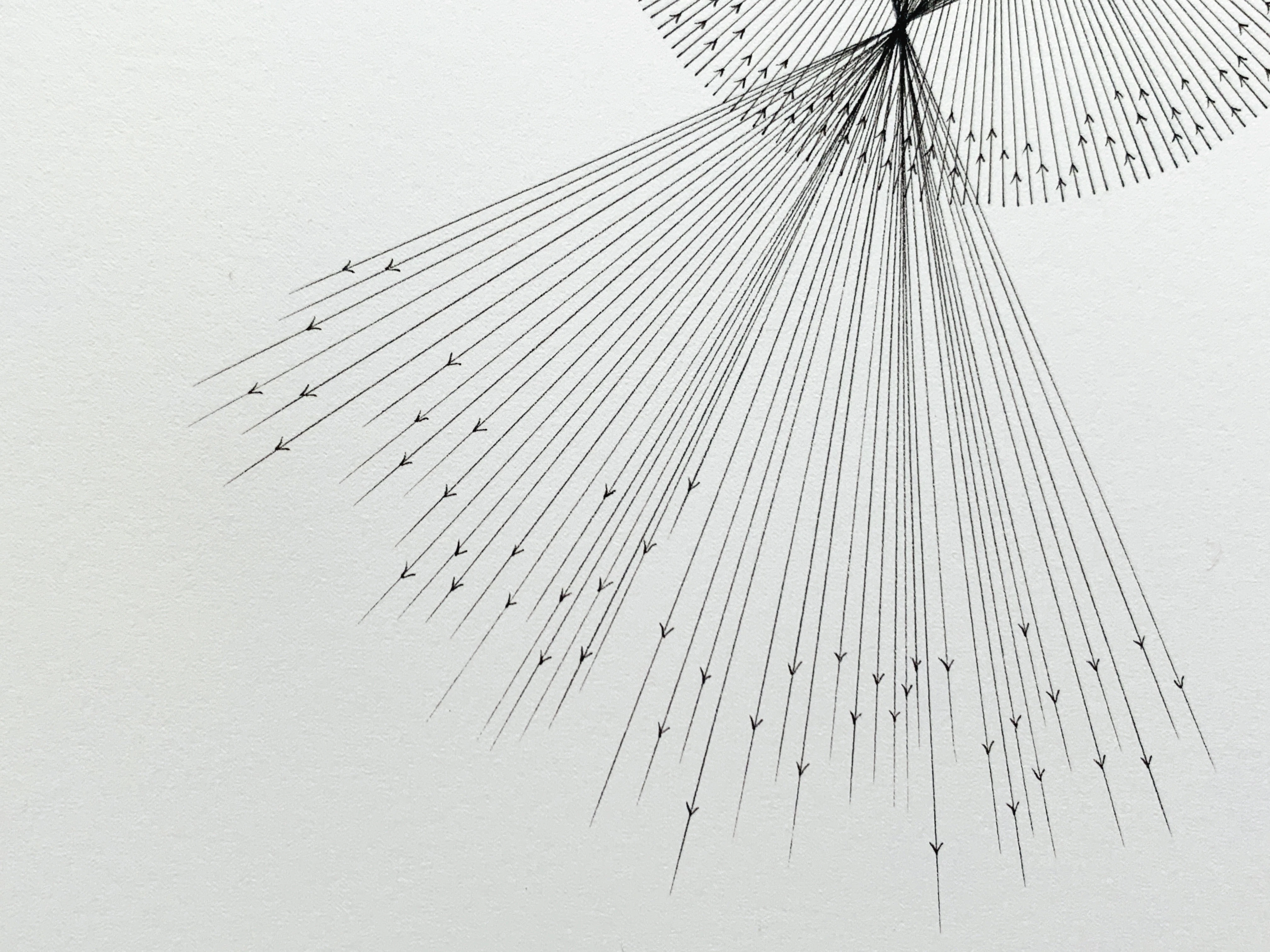 Sounding Landshapes by Elizabeth McTernan...