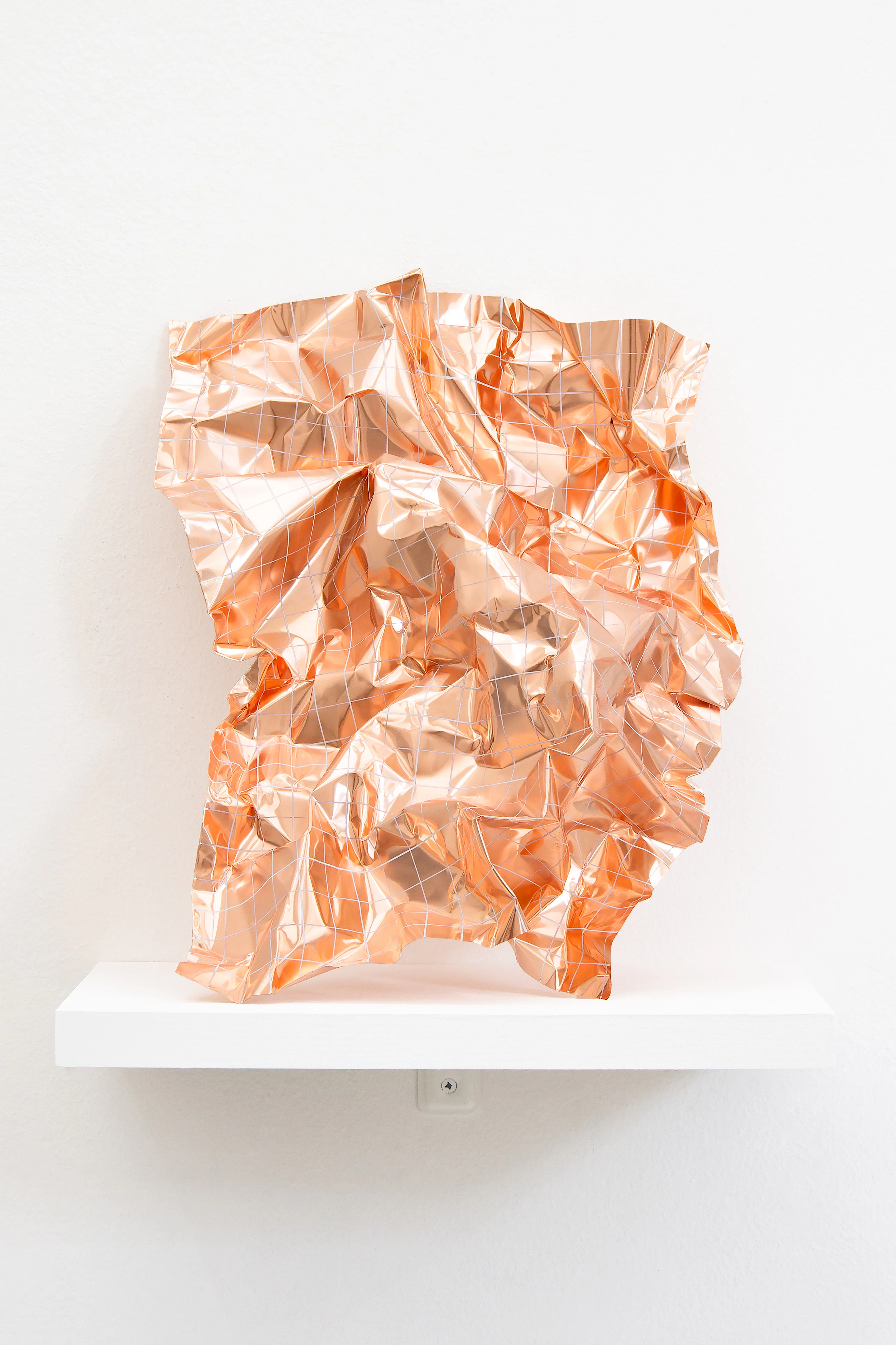 Copper Fields by Elizabeth McTernan...