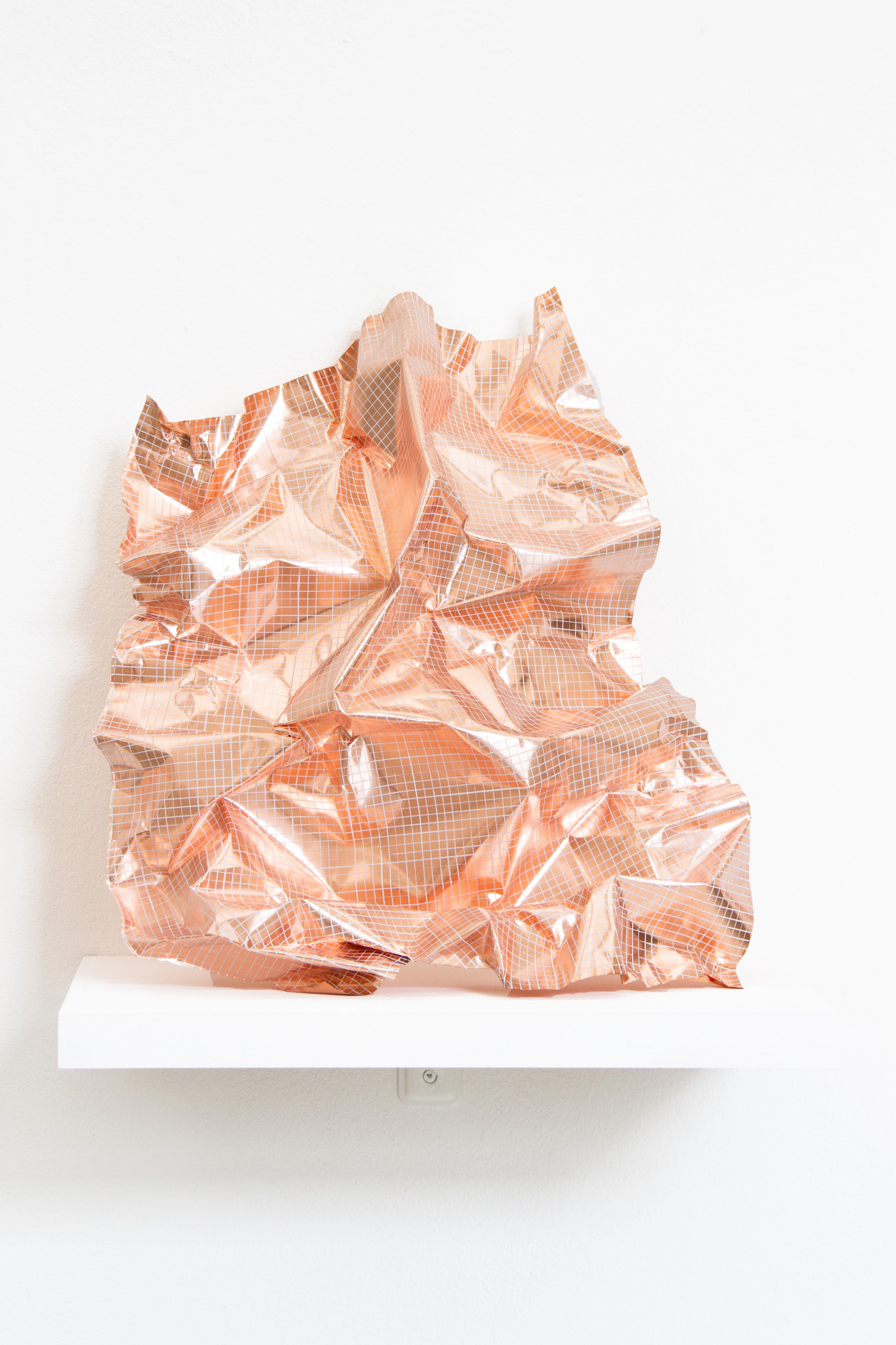 Copper Fields by Elizabeth McTernan...