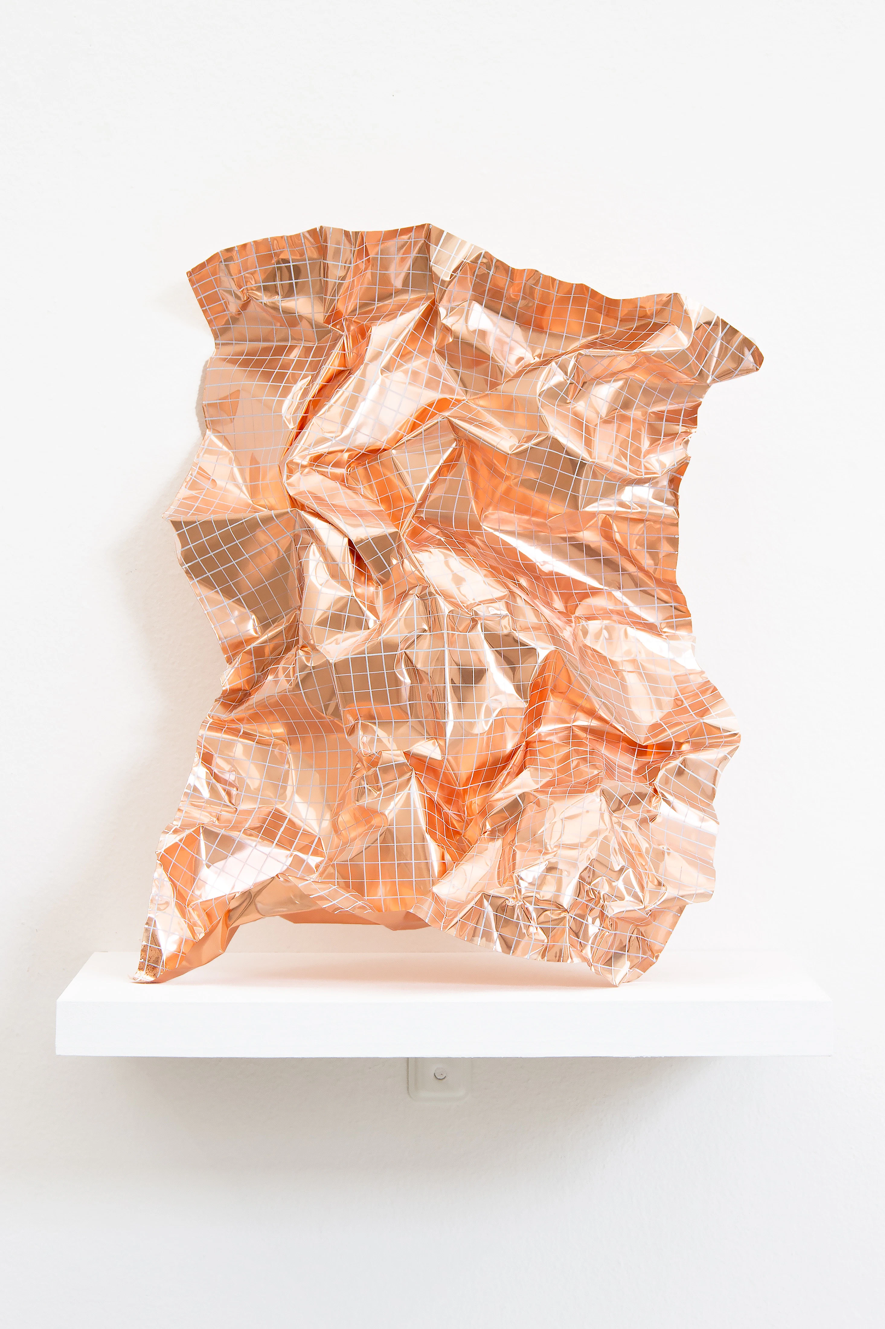 Copper Fields by Elizabeth McTernan...