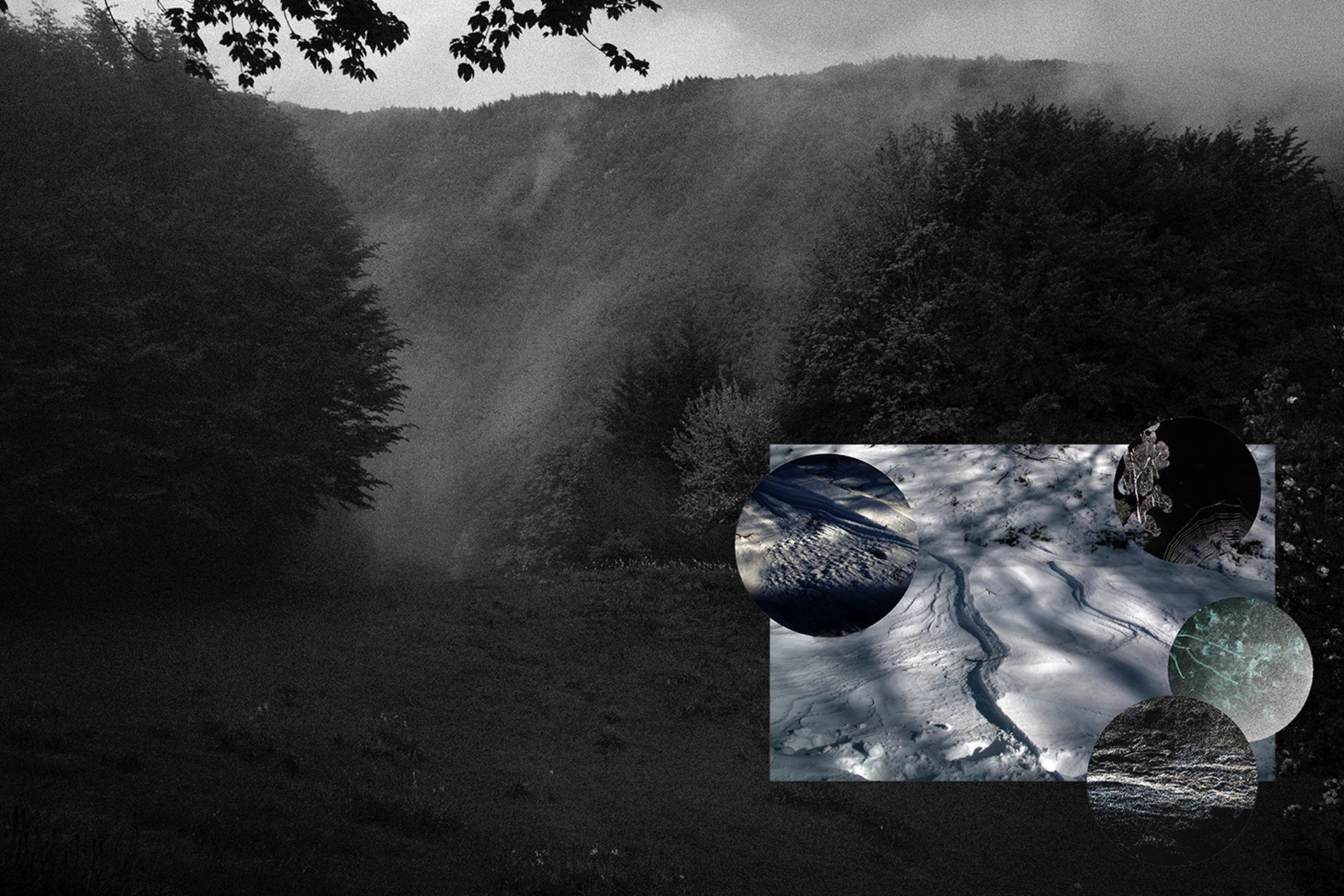 schnittmenge. punctum. by Bärbel Reinhard...