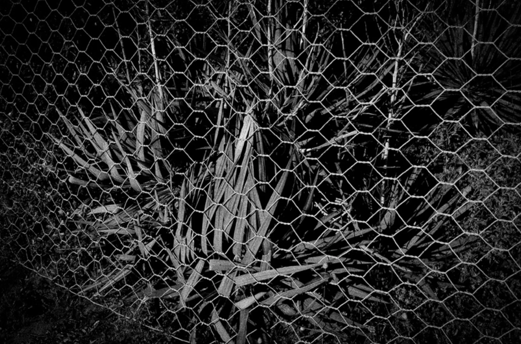 schnittmenge. punctum. by Bärbel Reinhard...
