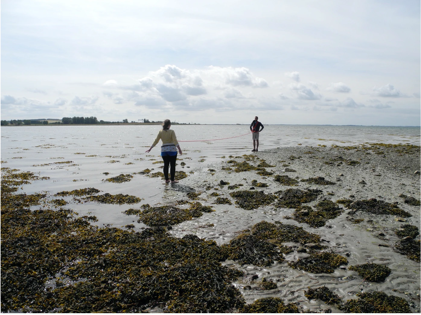 The Coastline Paradox: Measuring a Nameless Island