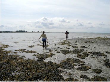 The Coastline Paradox: Measuring a Nameless Island
