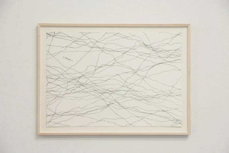 Finding Sea Level by Elizabeth McTernan...
